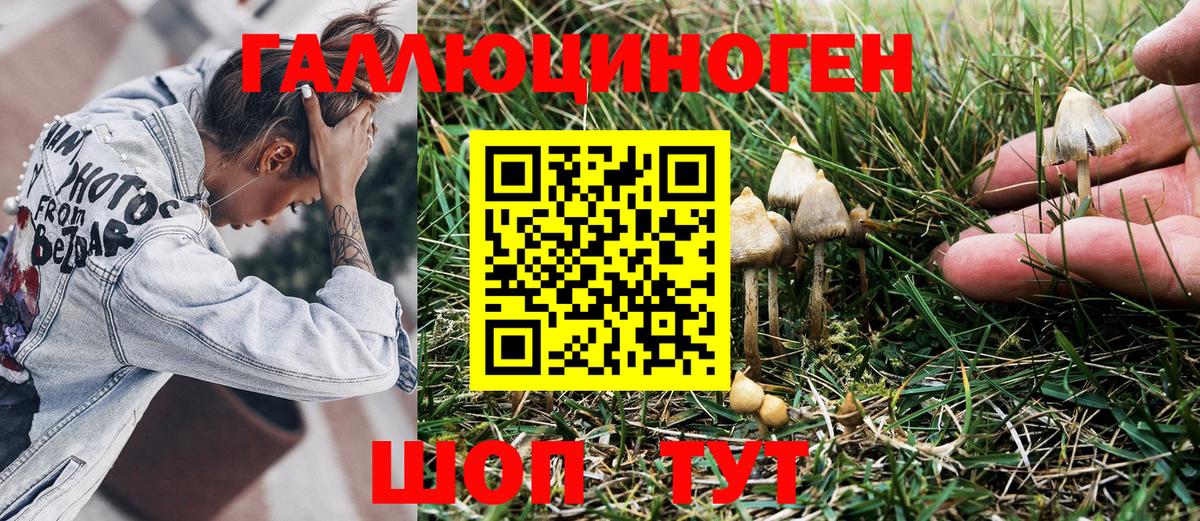 Псилоцибиновые грибы Cubensis  Вход с VPN  Псилоцибиновые грибы MAGIC MUSHROOMS  Ачхой-Мартан 